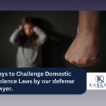 Ways to Challenge Domestic Violence Laws by our defense lawyer.