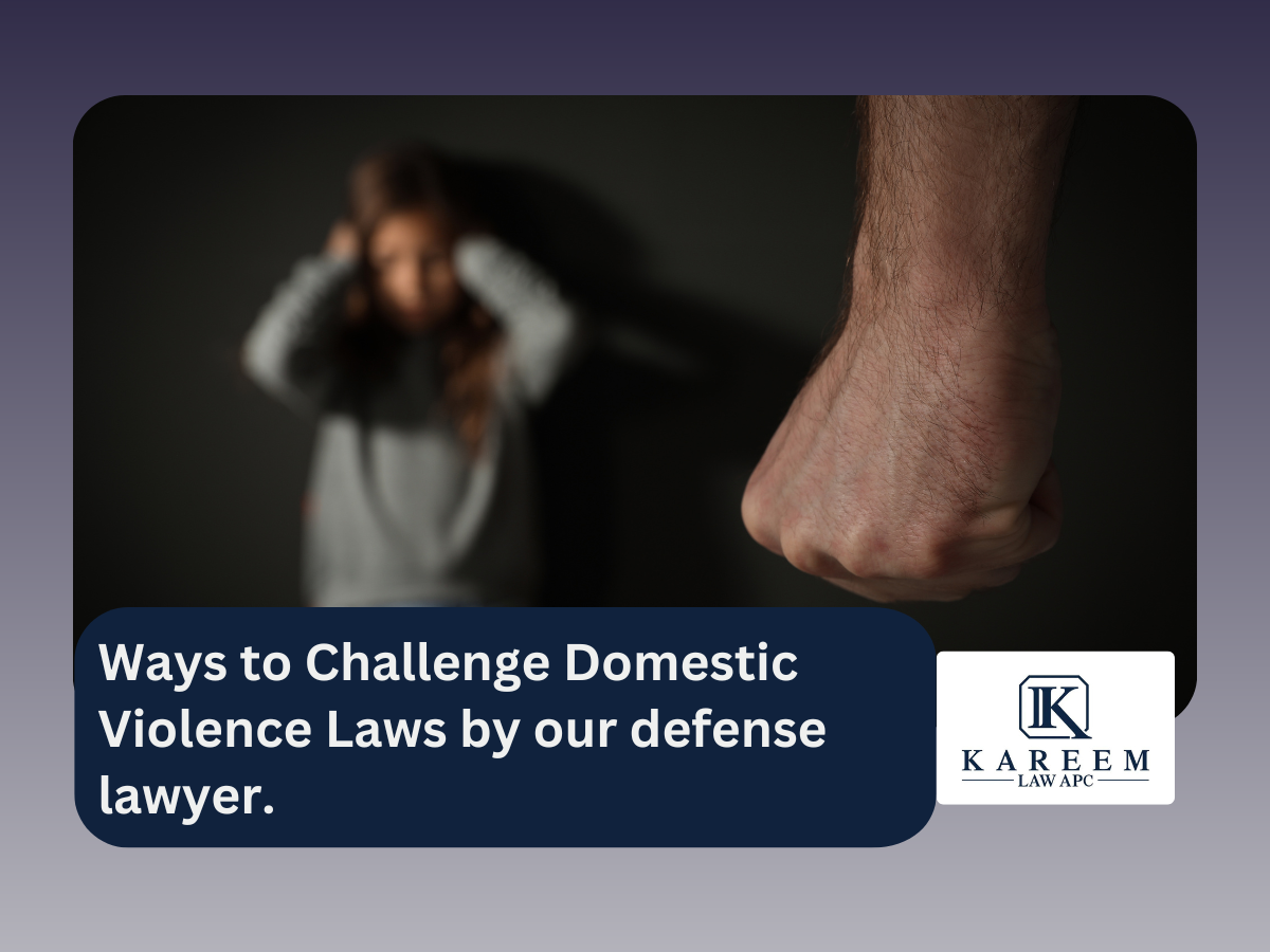 Ways to Challenge Domestic Violence Laws by our defense lawyer.