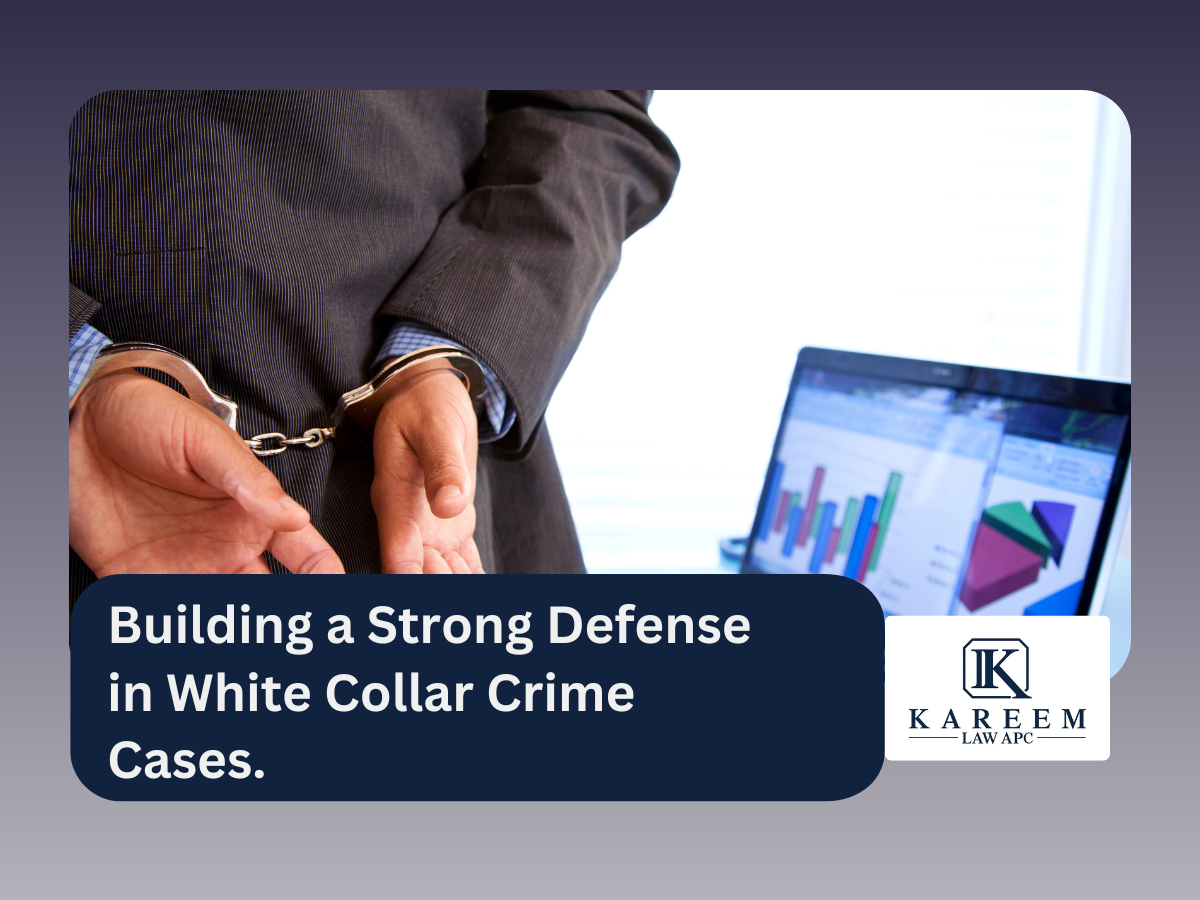 Building a Strong Defense in White Collar Crime Cases.